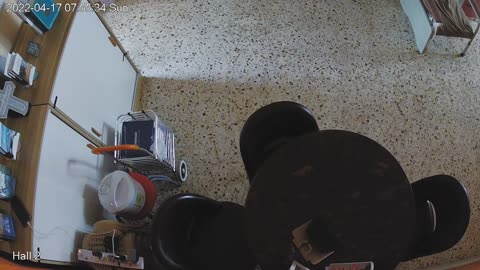 hallmid midnight 20220417