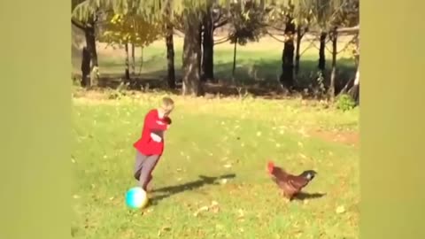 ULTIMATE|| Animal Compilation || Funny Fails || viral || comedy