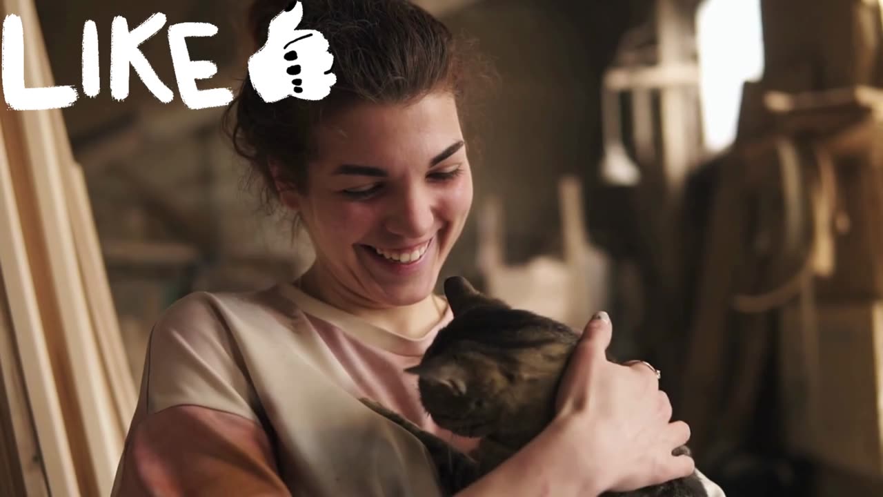 A young, beautiful girl plays with a gentle, gray cat