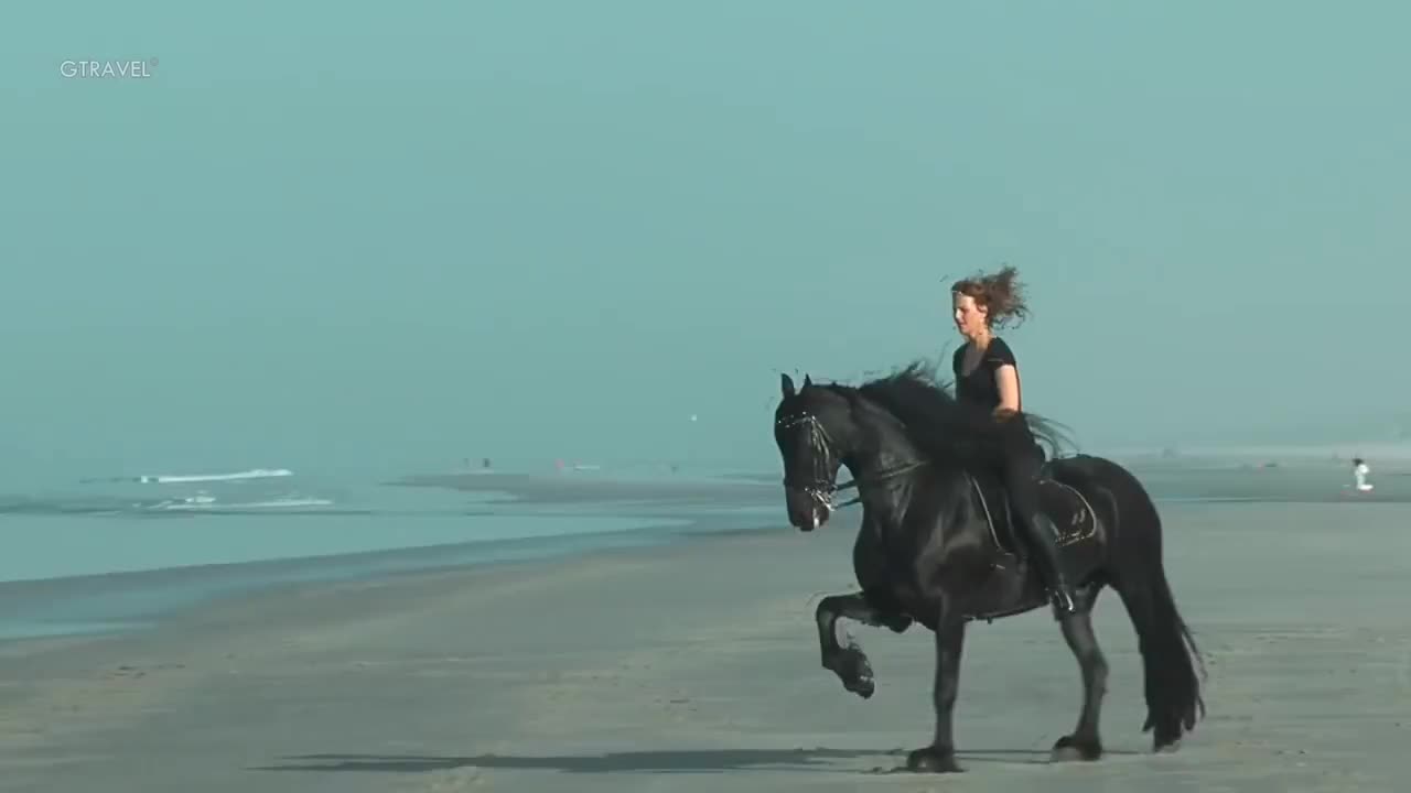 Beautiful woman riding a horse leisurely by the sea