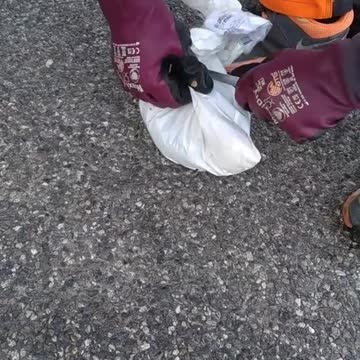 funny|prank|jokes|funny jokes|dad jokes|funny memes|funny video|fun|laughing|funny animal|knock