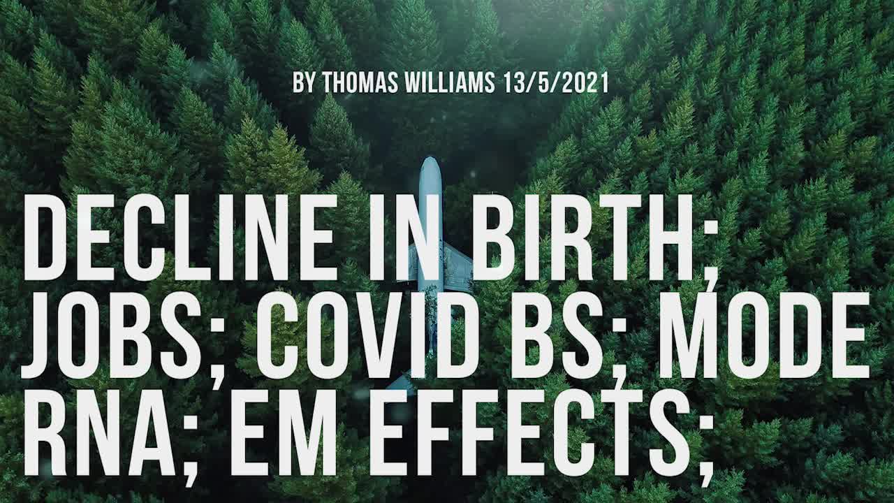 Decline in Birth; Jobs; Covid BS; Mode RNA; EM Effects;