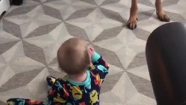 This dog caresses the child and makes him happy