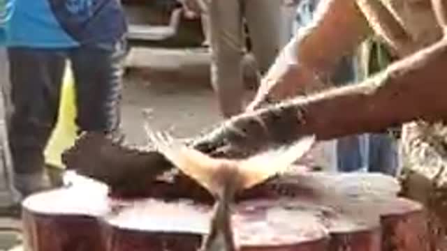 Amazing fish cutting