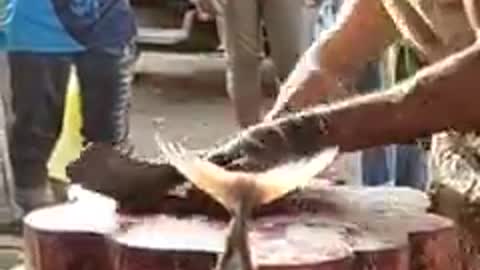 Amazing fish cutting