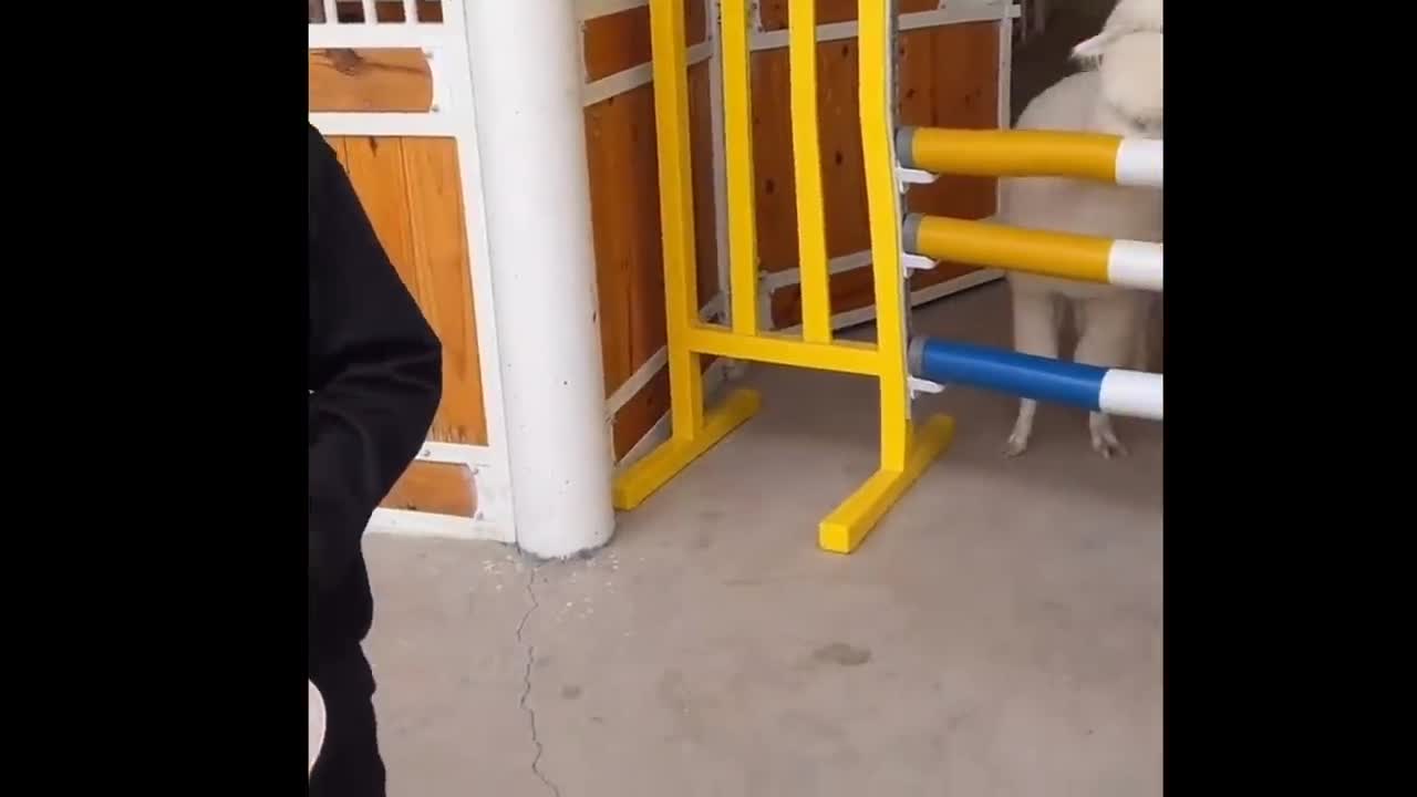 Funny Moments Of The Year Compilation Part 5
