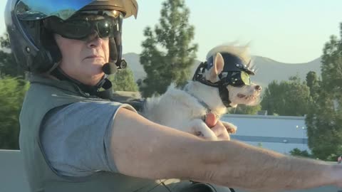 Biker and His Little Sidekick