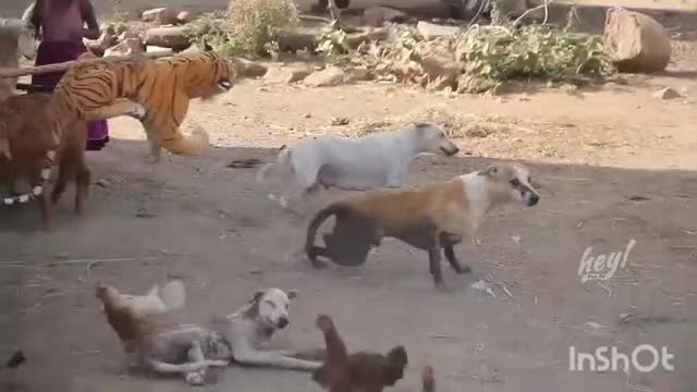 Fake Big Tiger Prank Dog Flying So Funny Try Not To Laugh Must Watch COMEDY Video Among Us