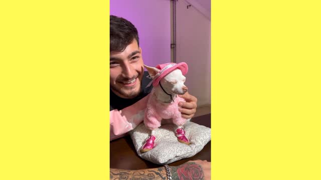 Dog funny moments 🤣🤣🤣🤣🤣