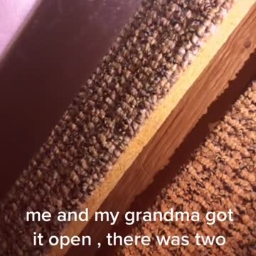 Is this Where Norman Bates hid his mother ?