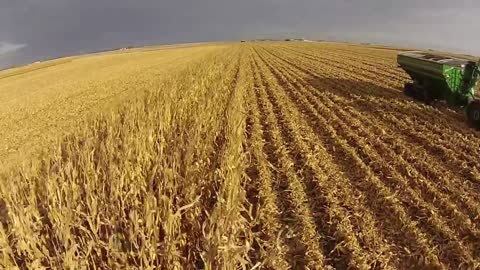 Controlling The World Through Food in 2021