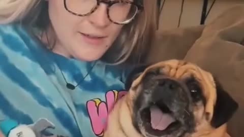 Funny video when your dog need to cut nail