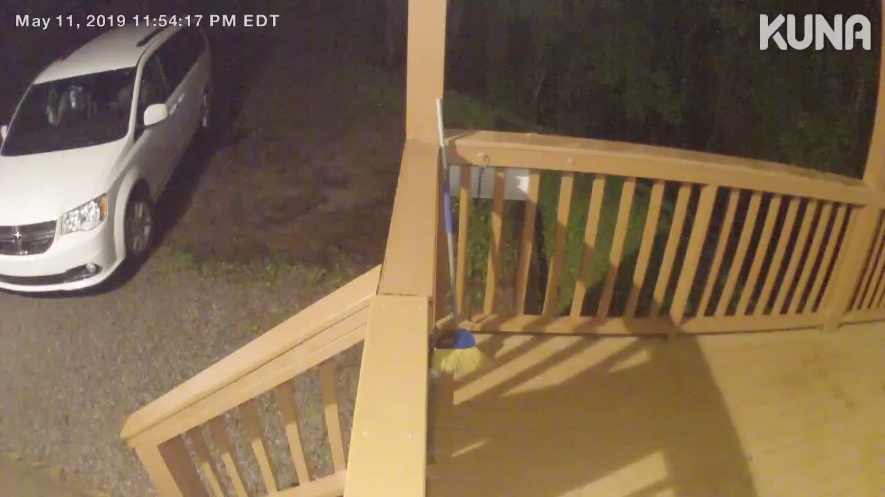 Bear Caught Playing on Porch Camera