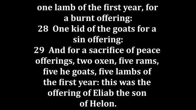 Numbers 7 King James version