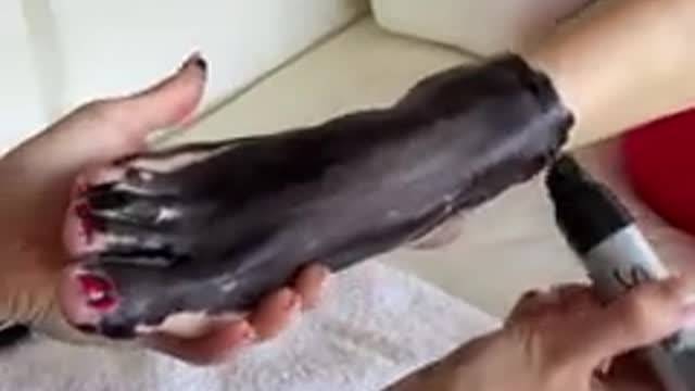 How to get Sharpie off ANYTHING in under 30 seconds!! 🤯…