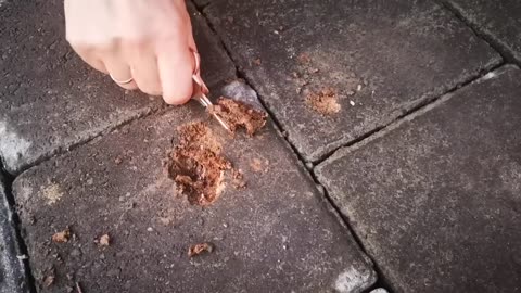 Продукция завода строительных изделий г.Цхинвали