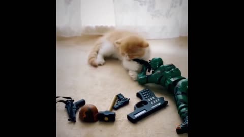Very cute little animals - collection