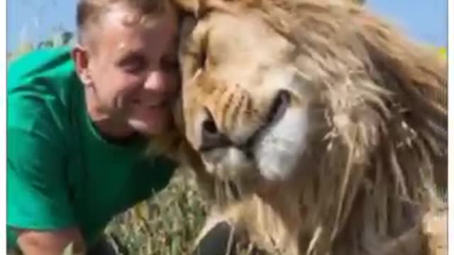 Sher ki jeevfmein Kitni takat hoti hai