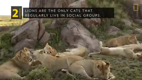 National geographic