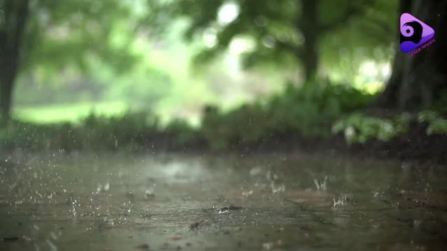 Rain and guitar - Relax natural music 432 Hz
