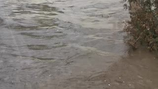 Floor of Bus Becomes Flooded