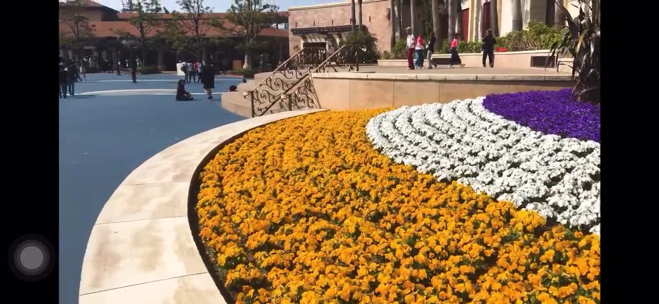 Disney resort in Japan
