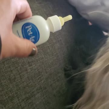 🍼 Feeding a baby squirrel 🐿😍🥰