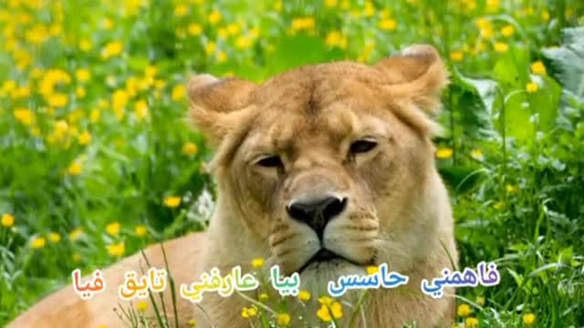 Léon ♌♌♌♌♌♌