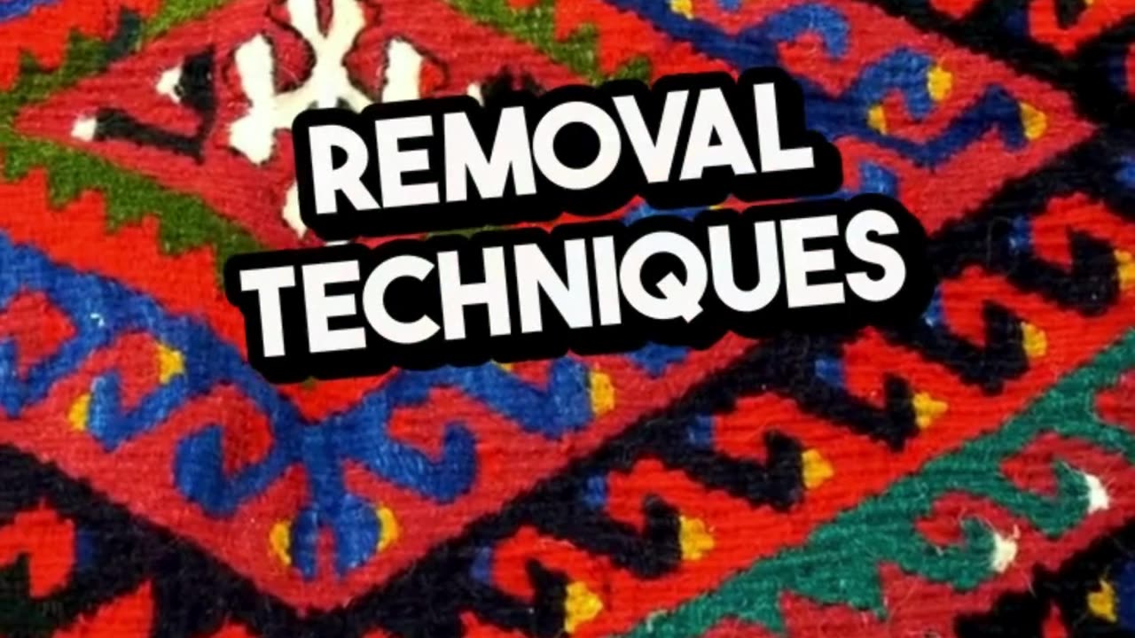 Rug Stain Removal