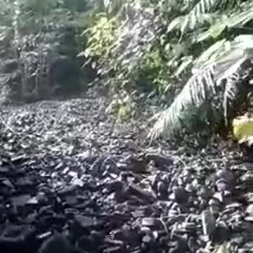 Represamiento de rocas bajo un puente, amenaza a varias familias en Santander