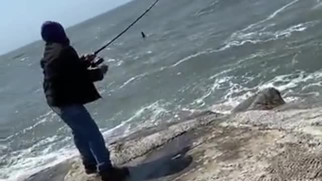 FISHING BIRDS?!