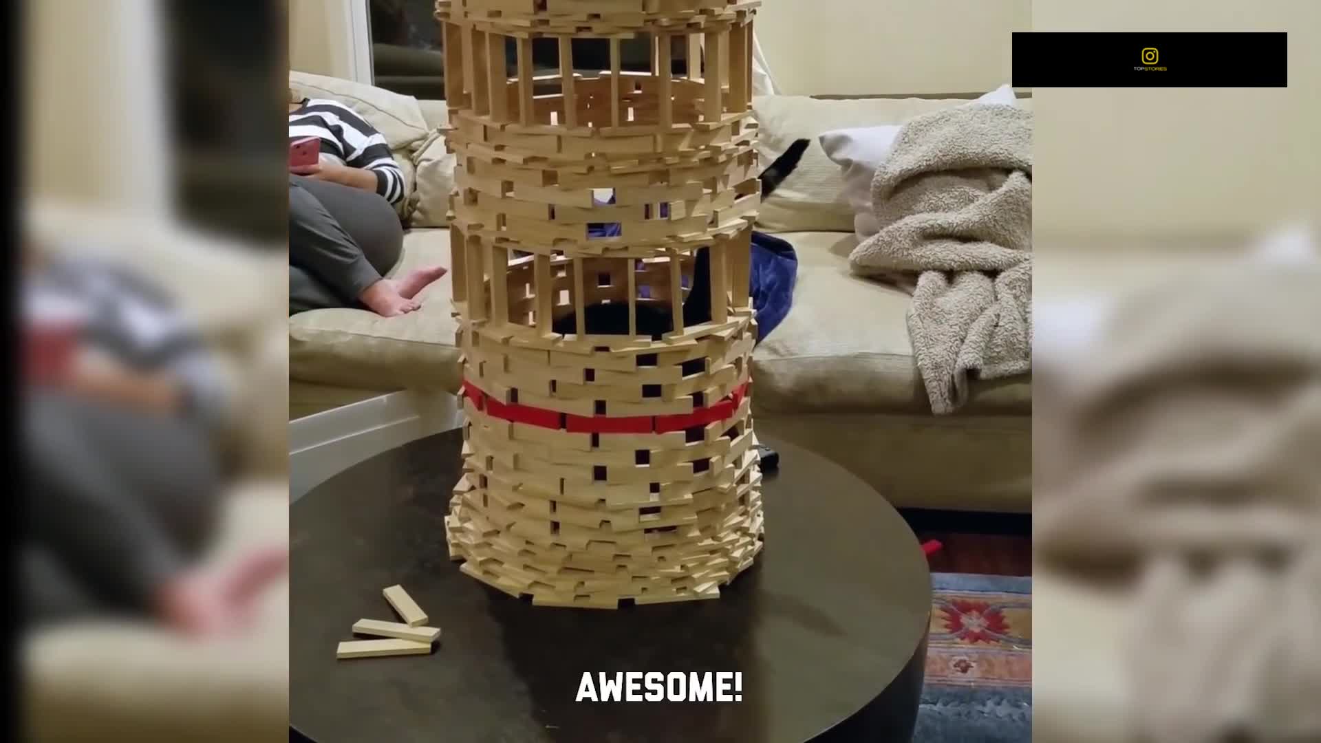 Funniest Cats - Don't try to hold back Laughter - Funny Cats Life