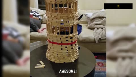 Funniest Cats - Don't try to hold back Laughter - Funny Cats Life