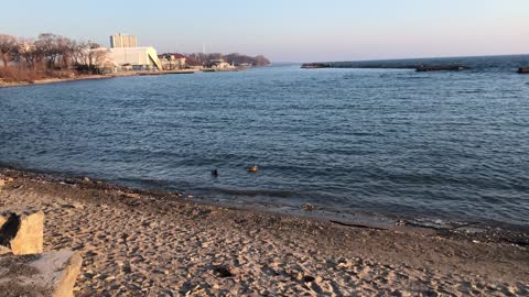 Calm and peaceful beach with sunset