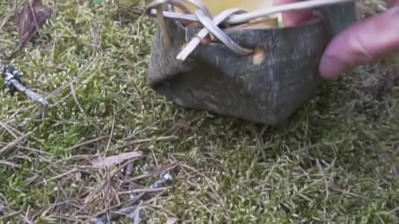 Survival Skills: Making a Basket from Tree Bark