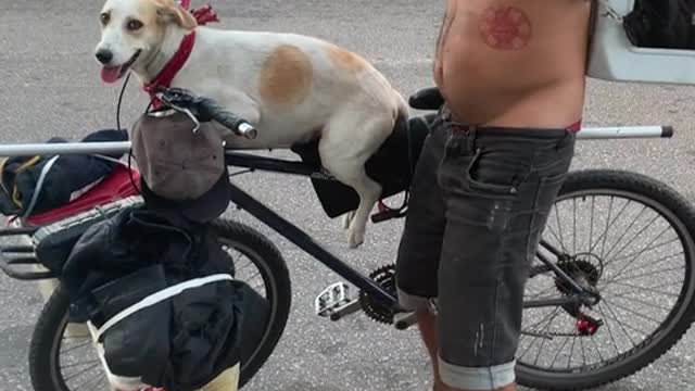 Man takes his animals for a bike ride