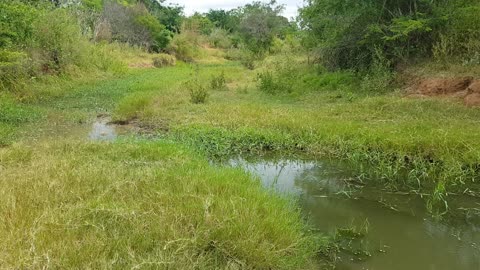 Natureza na Bahia