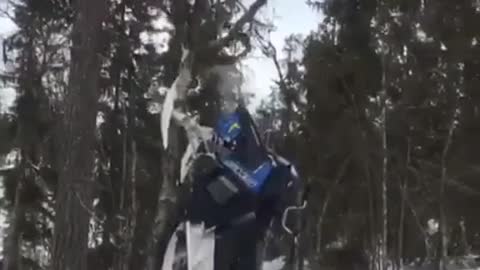Blue snow mobile tree fall