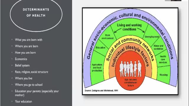 Dr. Celini, the Health Bank and Immunocal