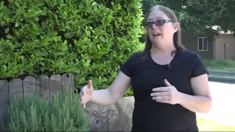 "My Lawn Is Now Becoming a Public Bathroom" - Portland Residents Distraught Over Homeless Crisis