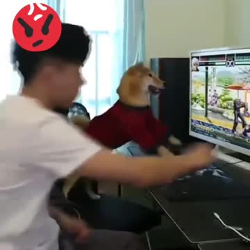 Let me play quietly please