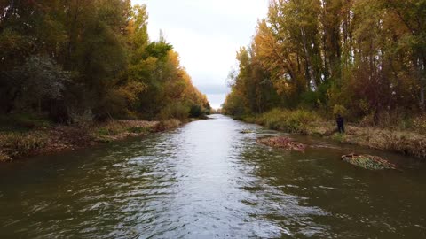 River View