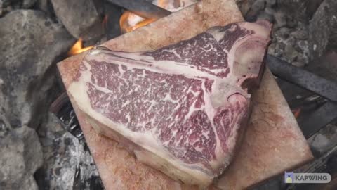 Cooking a $350 Wagyu T-Bone on a Salt Block over open flame