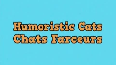 Humoristic Cats 😹 Chats Farceurs - n°297 #Shorts