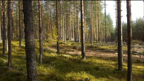 Päivän kerrallaan - Indy Angel