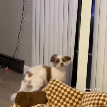 The end. #funny #funnyvideo #funnyvideos #fails #prank #scarepranks #prankvideo