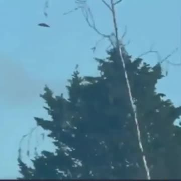 What is that, somebody please say something