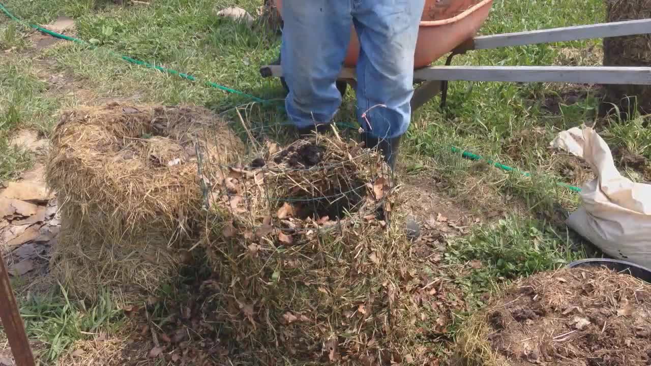 HOW TO PLANT A POTATO PILLAR