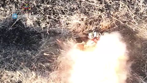 Avdiivka carnage (18+)