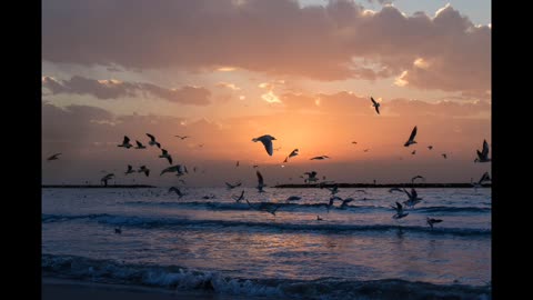 Carribean Ocean Waves Break onto Shore | Relaxing Sound Effect for Goodnight Sleep